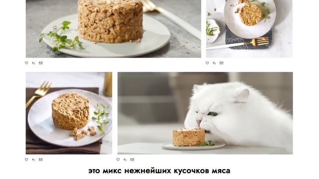 Новинка Gourmet® Gold Нежные биточки