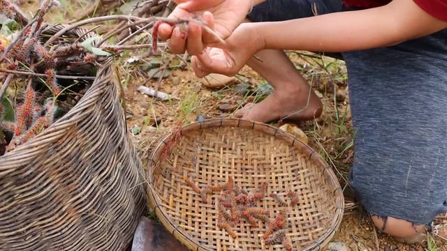 Two Sister finding natural fruit meeting a lot of Worms - Cooking Worms and eating - Survival Skill смотреть онлайн