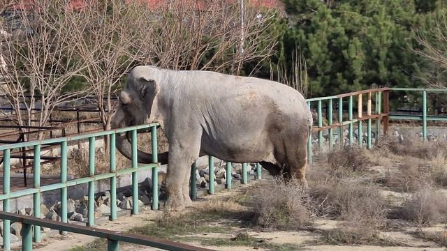 Дженни знает хлебные места) Тайган смотреть онлайн