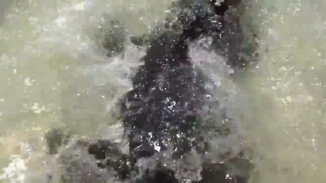 тайланд.зоопарк,шоу крокодилов,катаемся на слоненке смотреть онлайн