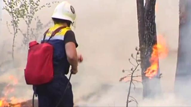 Класс пожарной опасности смотреть онлайн