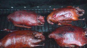 Утка горячего копчения. Копчу диких уток в самодельной коптильне.