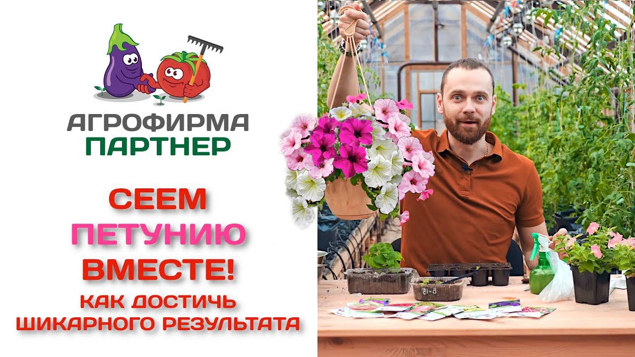 Сеем петунию вместе! Как достичь шикарного результата смотреть онлайн