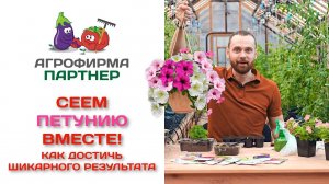 Сеем петунию вместе! Как достичь шикарного результата