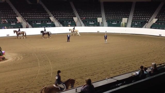 LEM & Prince Region 10 Reserve Champion смотреть онлайн