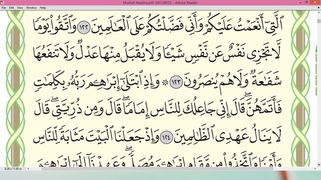 Шейх Айман Сувейд сура Бакара стр 19