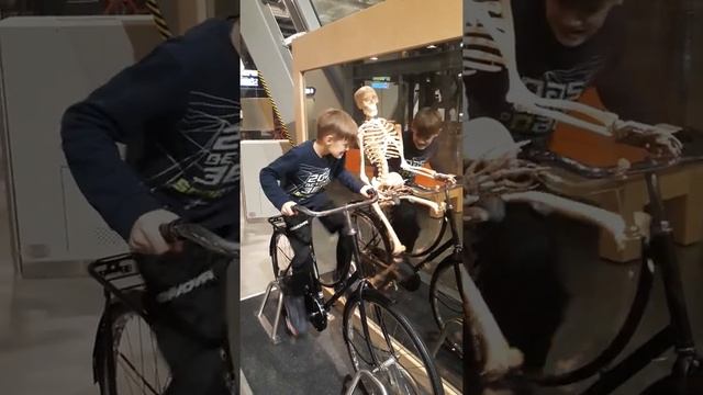 Музей Коперника?Варшава 2019?? смотреть онлайн