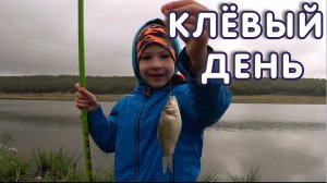 РЫБАЛКА С СЫНОМ | ЛОВИМ КАРАСЯ на ПОПЛАВОК | Рыбалка 2020