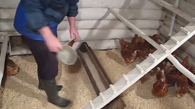 ГНЕЗДА ДЛЯ КУР НЕСУШЕК - своими руками и очень дешево! (как сделать и советы содержания кур) смотреть онлайн