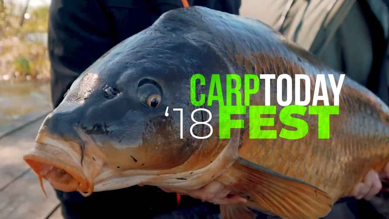 CARPTODAY FEST 2018. Учебно-спортивный фестиваль – ФИЛЬМ. Уроки карповой ловли.
