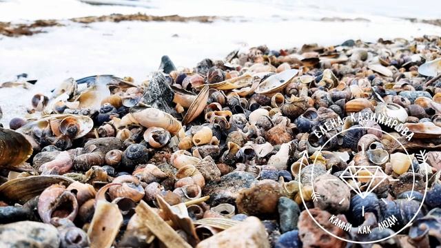 Медитация Внутренний ребенок Елена Казимирова смотреть онлайн