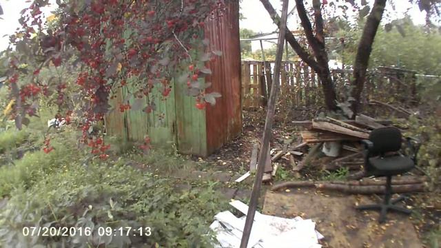 Хорек поймал хомяка смотреть онлайн