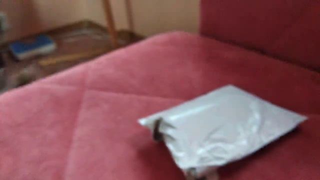 РАСПАКОВКА ОШЕЙНИКА ДЛЯ КОШКИ С АЛИЭКСПРЕСС | ОШЕЙНИК ДЛЯ КОТА? | ?РАСПАКОВКИ С МАРУСЕЙ #1? смотреть онлайн