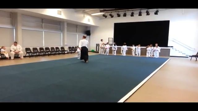 Aikido Kids Game - Balloon Game ... sometimes its like herding cats ;) смотреть онлайн