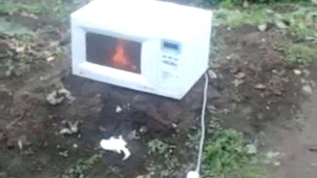 Микроволновка и килька смотреть онлайн