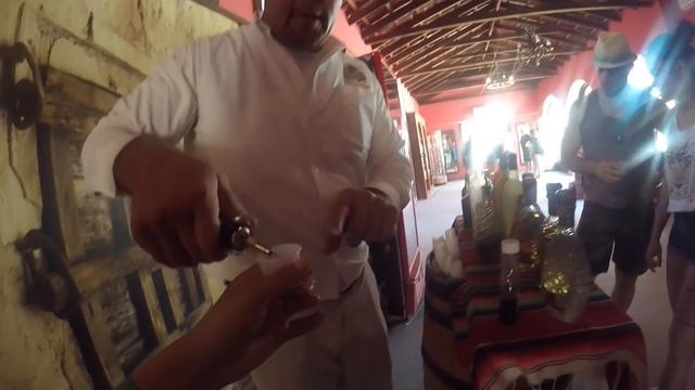 10 Amazing Things To Do in Cozumel Mexico смотреть онлайн