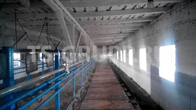 Система туманообразования для охлаждения коровника. смотреть онлайн