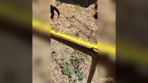 Приспособление для замены фрез, колёс для мотоблока.