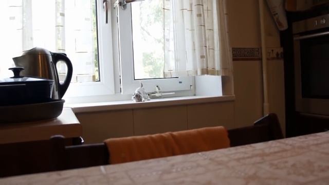 Видео с камеры SONY NEX-5 смотреть онлайн