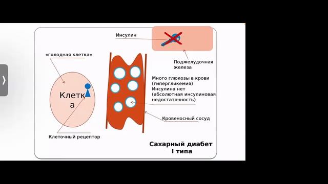 Лекция "Гормоны и спорт" смотреть онлайн