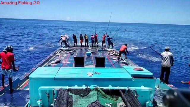 Amazing Fastest Tuna Fishing Skill - Most Satisfying Sea Hook Fishing Video 2023 Maldives смотреть онлайн