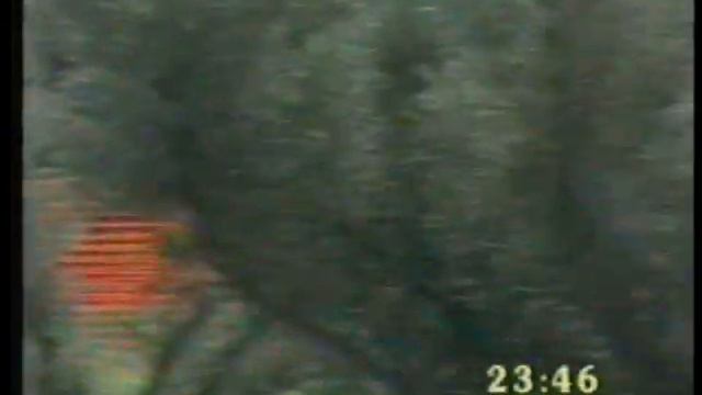 1998 Mens World Cross Country Championships смотреть онлайн