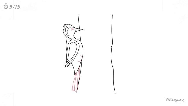 Как нарисовать дятла: инструкция от EvriKak смотреть онлайн