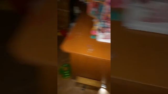 Мая Сфинкс-браш. уже немного флок.? 6месяцев. смотреть онлайн