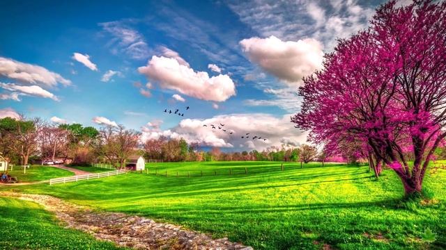 Расслабляющая музыка. Пробуждение природы. Релакс. Пение птиц. Музыка для сна. смотреть онлайн