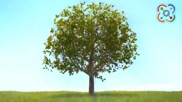 Лаб.эксперимент_Яблоко