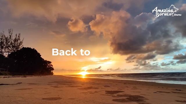 Welcome Back To Borneo | Sabah & Sarawak | Travel With Amazing Borneo смотреть онлайн