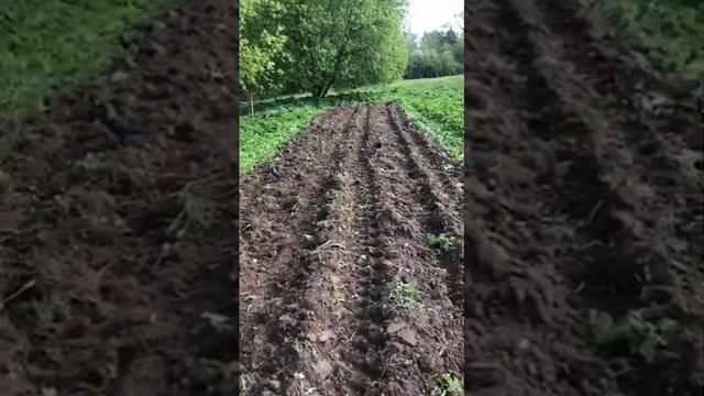 Kubota Дисковый плуг пахота отзыв смотреть онлайн