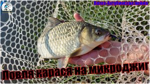 Караси на микроджиг