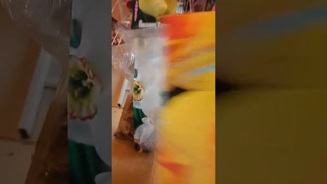 Луковицы нарциссов редкие сорта. смотреть онлайн