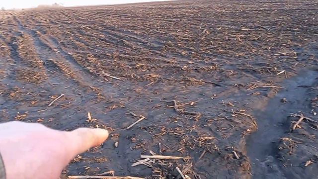 Весна прийшла🌞,а знею і перші Находки.💰