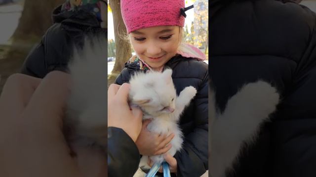Котенок Марсик, подобрали с улицы смотреть онлайн