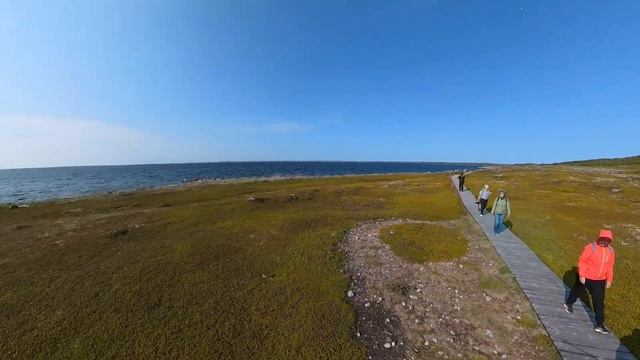 Соловки. Финал путешествия. Заяцкий остров, лабиринты. Два соловецких музея. смотреть онлайн