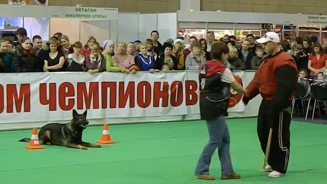 Бирюша 1_2 упр (показательное выступление в МВДЦ "Сибирь". г. Красноярск) смотреть онлайн