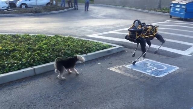 Смысл фильма «Чужой. Завет» смотреть онлайн