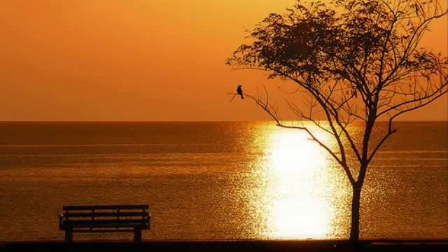 Starfield - Alive In This Moment