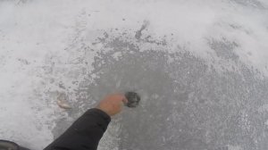 Ловля окуня зимой на малька, видео rybachil.ru