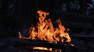 4К /РЕЛАКС/ НОЧНОЙ КОСТЕР/ ЗВУКИ ПРИРОДЫ/ МЕДИТАЦИЯ/ ОТДЫХ!!!