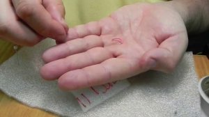 Привязываем поводки на Ангарскую резину (кембрик)