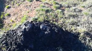 Очистка бочки ассенизатора