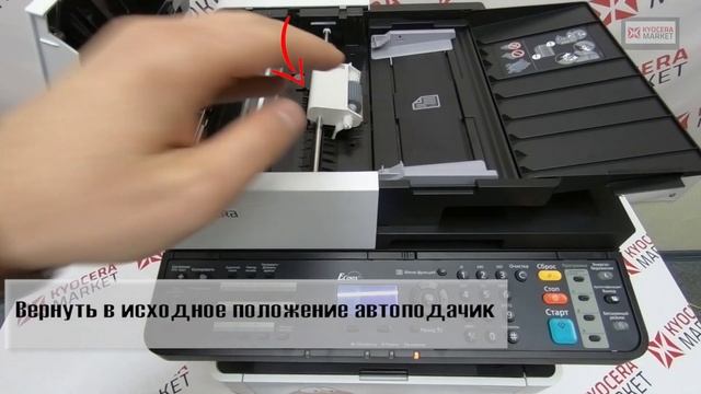 Замятие автоподатчика в Kyocera Ecosys М2040dn смотреть онлайн