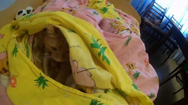 Жизнь под одеялом смотреть онлайн