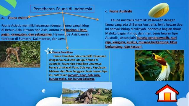 3 Jenis Fauna dan Pembagian Waktu di Indonesia смотреть онлайн