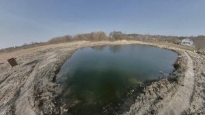 Хлорелла в пруду - Как вырастить хлореллу в домашних условиях - Альголизация водоёма - Водоросль.