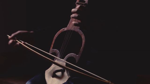 Happy New Year, Violin Playing