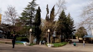 Шепси пансионат Туапсинский район Территория